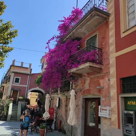 Casa *